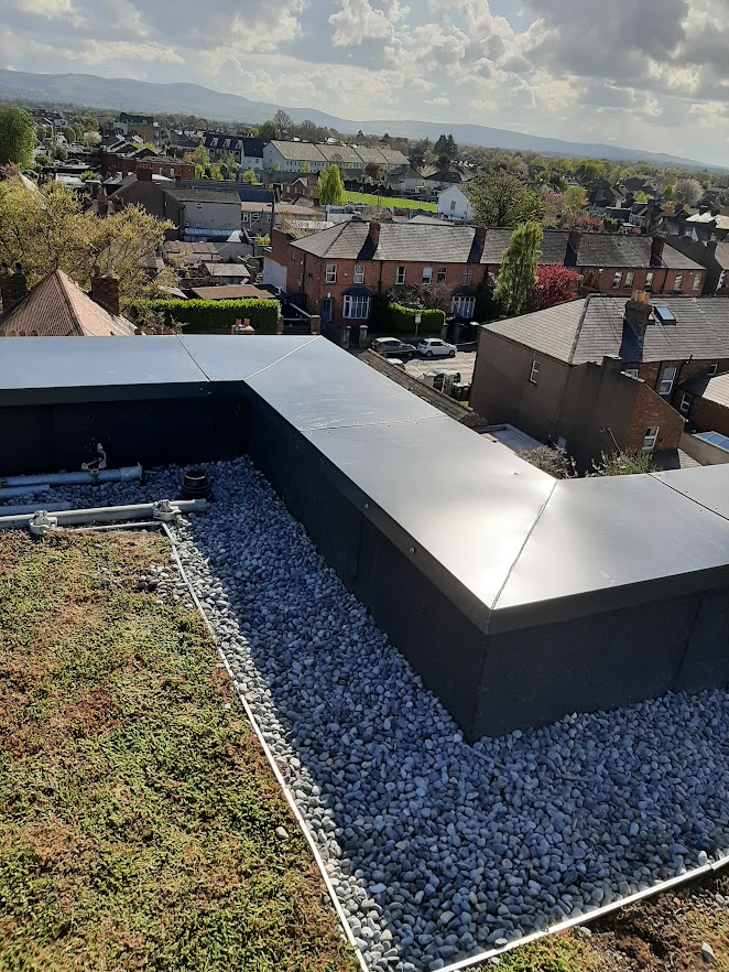 Commercial roof example 4